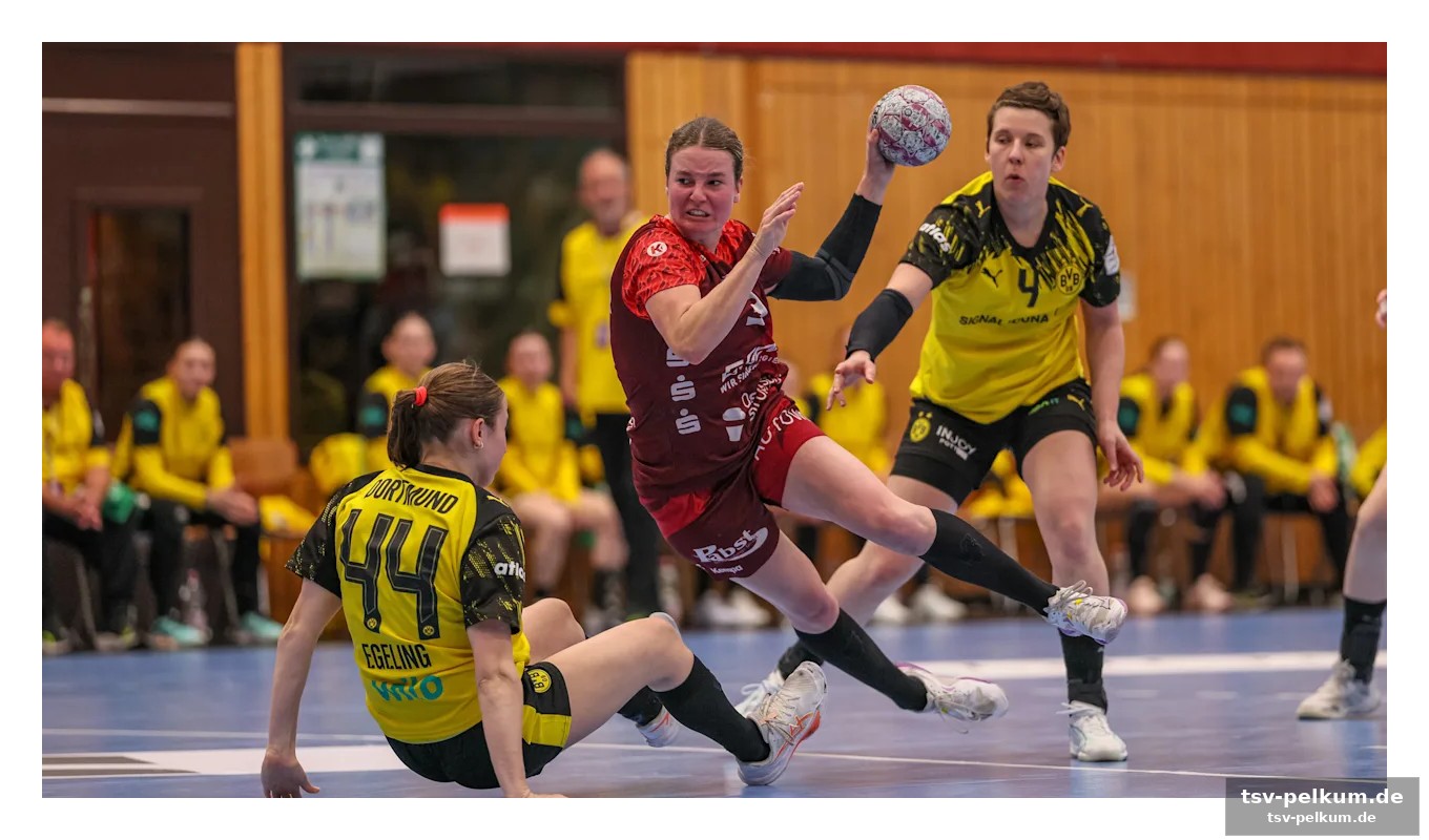 Erfahrung aus der bundesliga für podravka