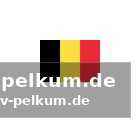 Vfl oldenburg als vorreiter: zuschauerkrösus der liga