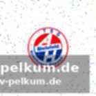 Starke leistungen in der dritten liga