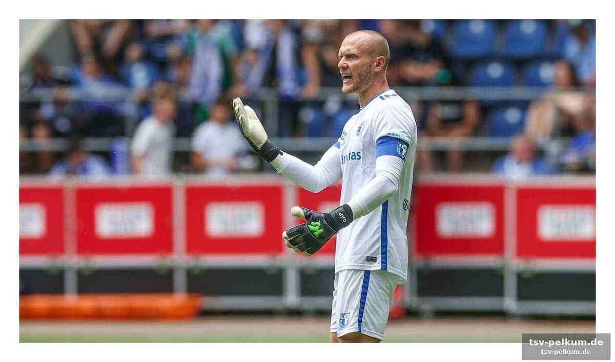 Einblicke in die weltklasse-defensive