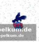 Kix sucht nach mehr spielzeit