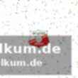 2. Handball bundesliga männer: dresden fordert balingen heraus