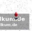 Handball bundesliga frauen: zwickau trifft auf bensheim