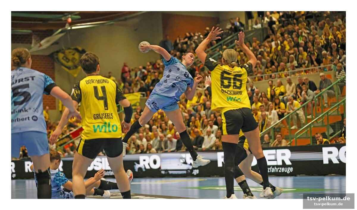 Bundesliga der männer: kiel unter druck, bergischer hc gegen hannover