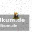 Die ergebnisse im überblick: