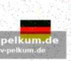 Spielorte und der weg ins finale