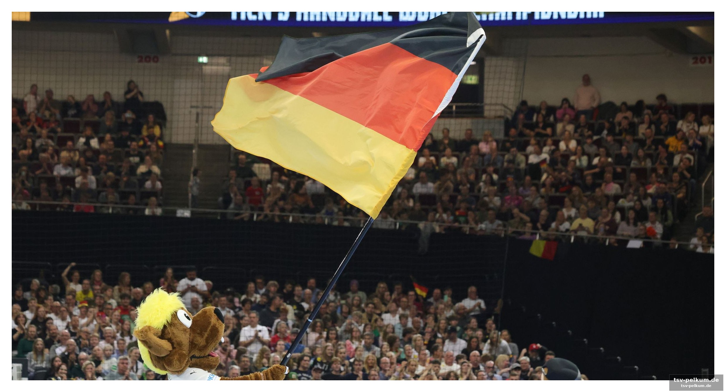 Ein fest für handball-fans im ganzen land