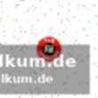 2. Handball bundesliga frauen: spieltag 17