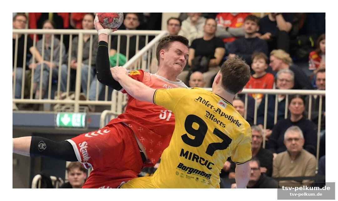 Nordhorn dominiert gegen ludwigshafen