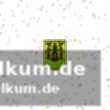 Übersicht der ergebnisse und kommenden spiele