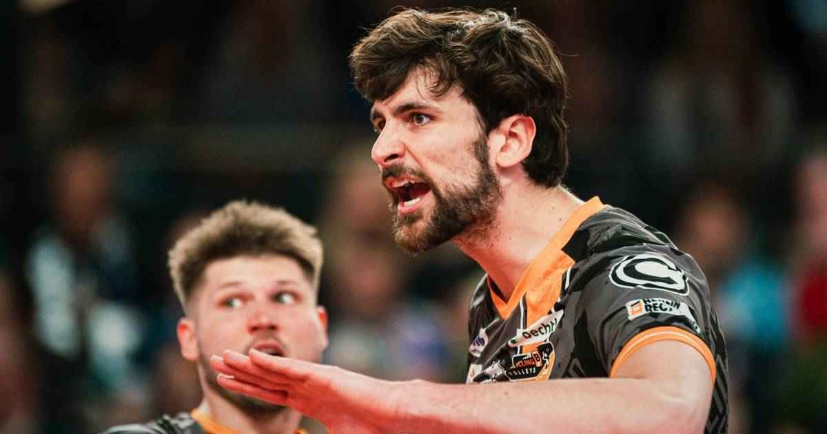 Hanes sticht heraus: berliner volleyballer auf meisterschaftskurs