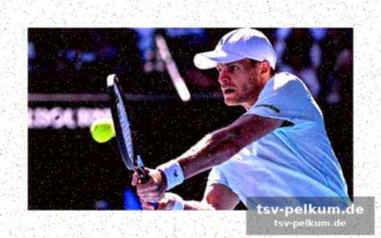 Lajovic kämpft, hanfmann behält die oberhand