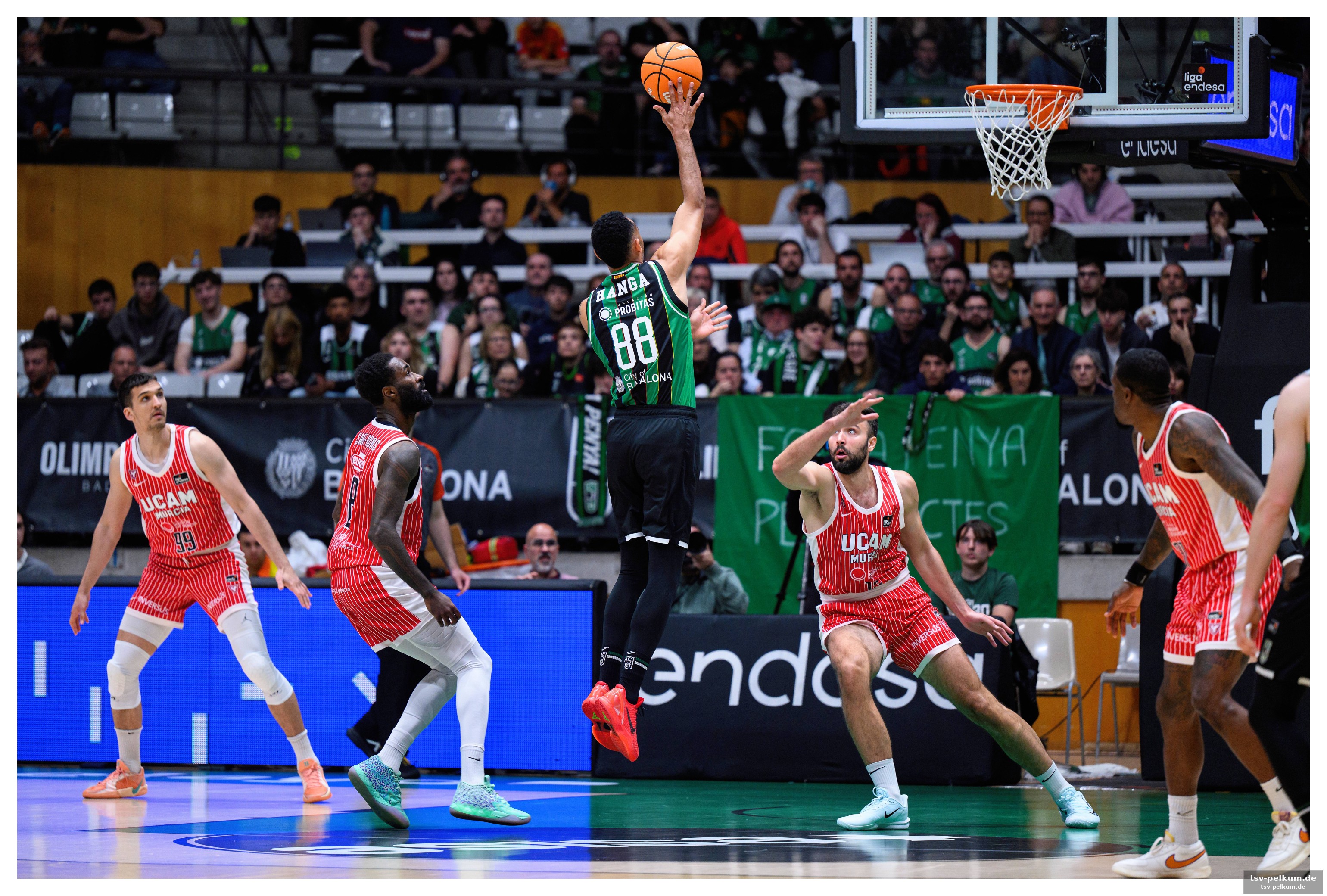 Ricky rubio: mehr als nur ein mitspieler