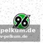 Hohe strafen für pyrotechnik bei hertha-spiel