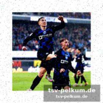 Stimmen zum spiel