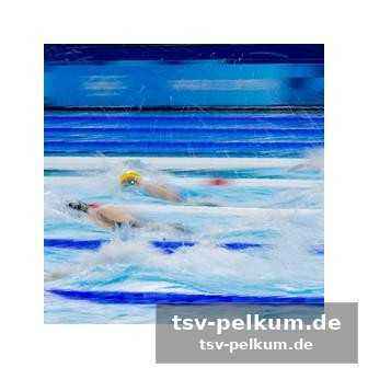 Fernsehen, streaming und tickets: so verpasst du nichts