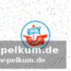 Shapourzadeh lobt hummels potenzial
