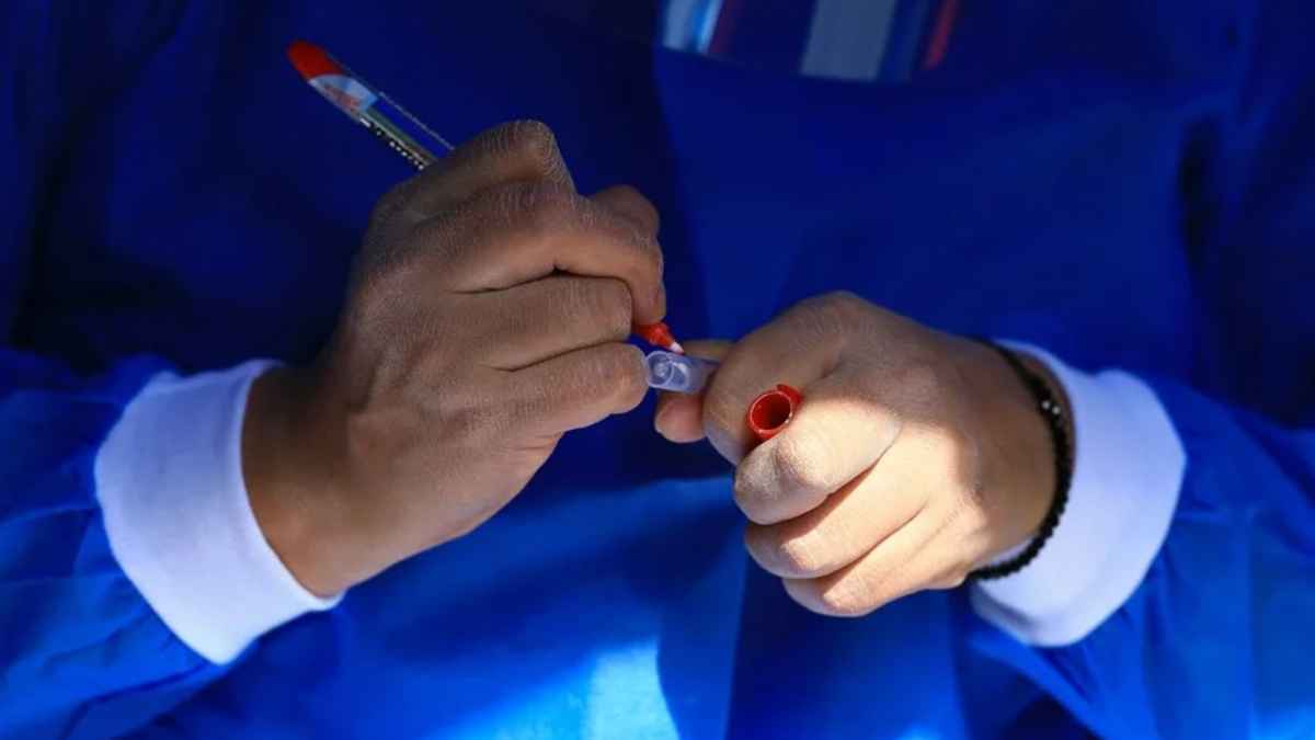 Hantavirus-alarm auf kreuzfahrt: experte warnt vor neuer andes-mutante