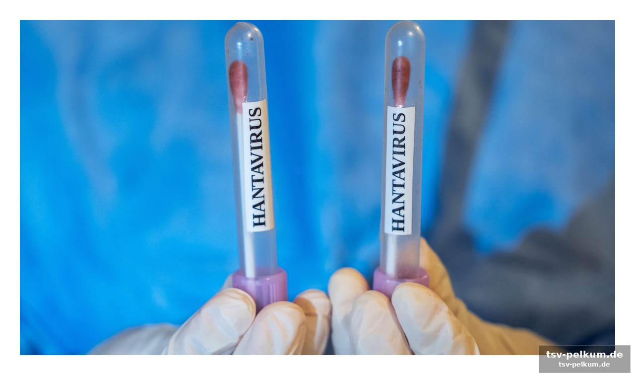 Die stille ausbreitung: wie sich das hantavirus verändert