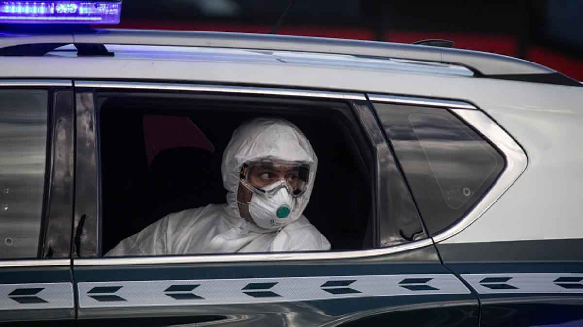 Hantavirus-alarm: italienisches gesundheitsministerium gibt klare anweisungen