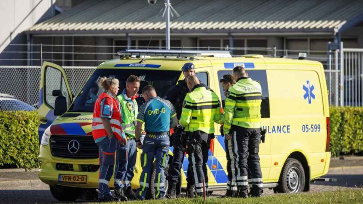 Hantavirus-alarm: neue variante droht globaler ausbreitung?
