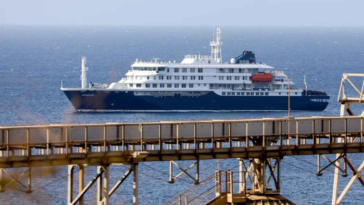 Hantavirus-ausbruch auf kreuzfahrt: panikmache oder ernsthafte gefahr?