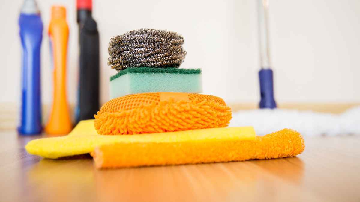 Hantavirus-gefahr steigt: so schützen sie sich beim ausräumen!