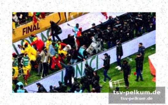 Die vorwürfe gegen die fans