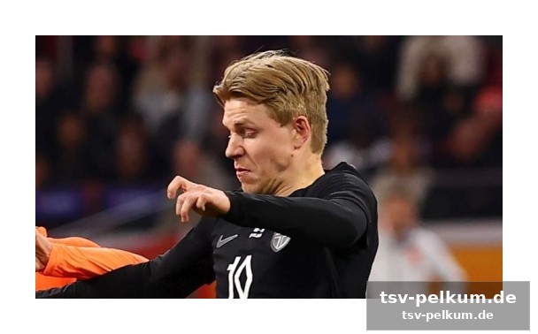 Haaland in der serie a? hauge zuckt mit den schultern