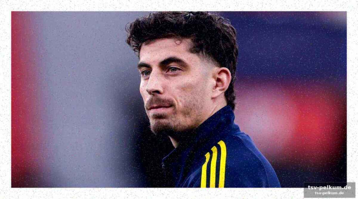 Toni, der esel mit star-allüren