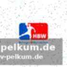 Dresden startet stark, balingen kontert