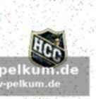 Aktuelle formkurve und die letzten spiele