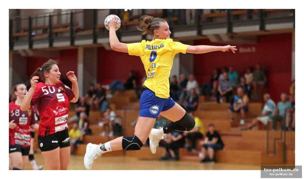 Kontinuität und talent als erfolgsrezept