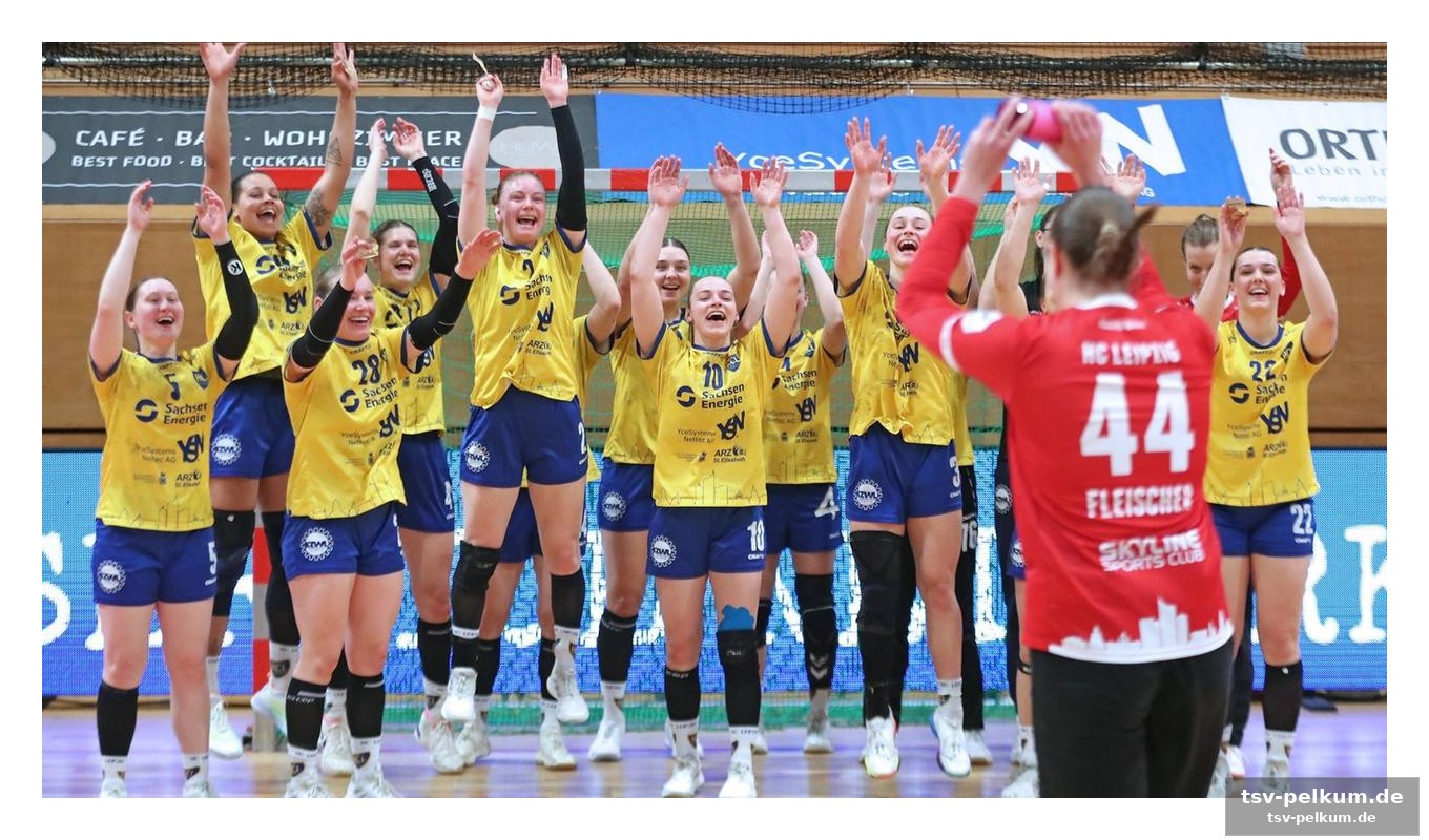 Mehr als nur handball: eine stadt feiert