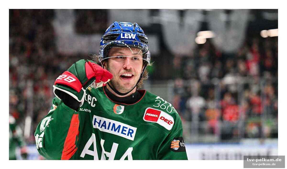Neuzugang mit nhl-erfahrung