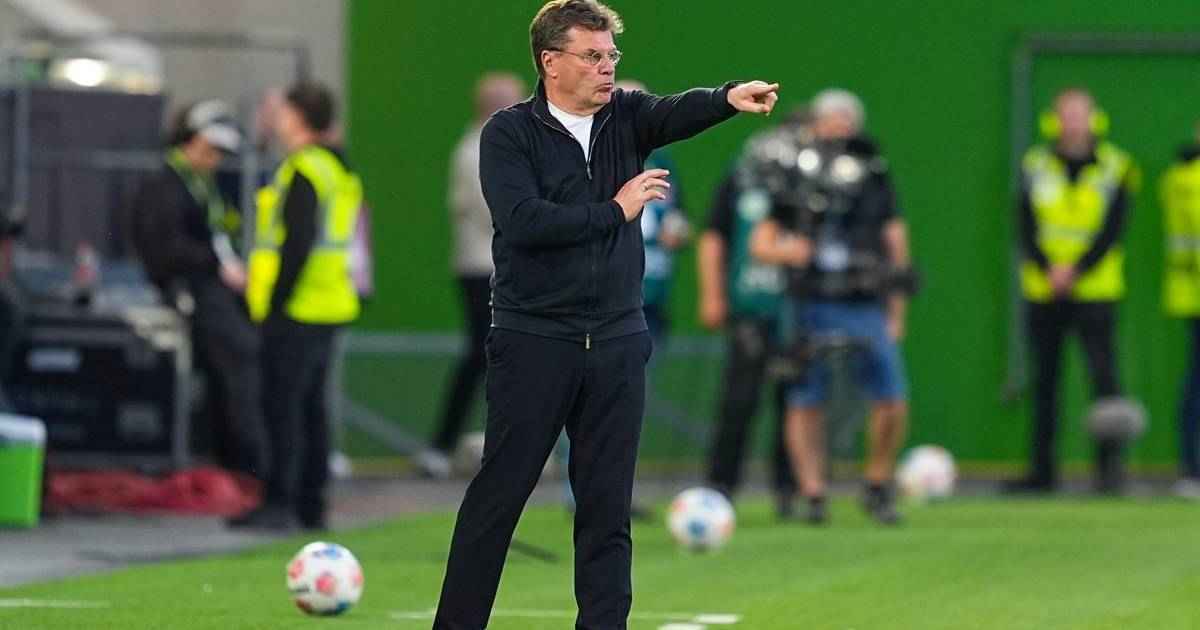Hecking ignoriert pokal-finale: fokus auf abstiegskampf!