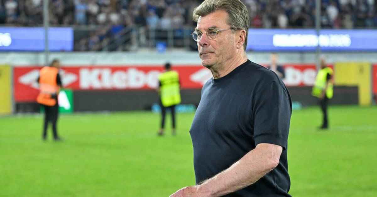 Hecking kehrt zurück: wolfsburg-coach wird sportvorstand