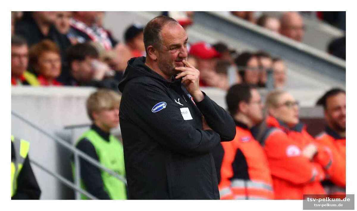 Frank schmidt: "effizienz ist der schlüssel"