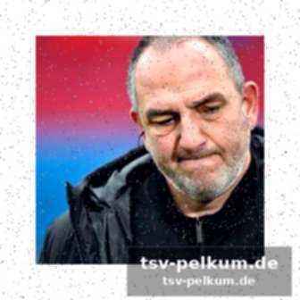 Was fehlt dem fch?