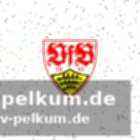 Schmidt fordert eine kompakte defensive