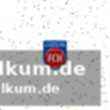 Schmidt: aufgeben ist keine option