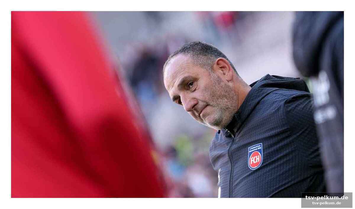 Kaufmann, honsak, dinkci: personalsorgen belasten