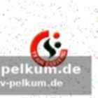 Internationale erfolge und führungsrolle