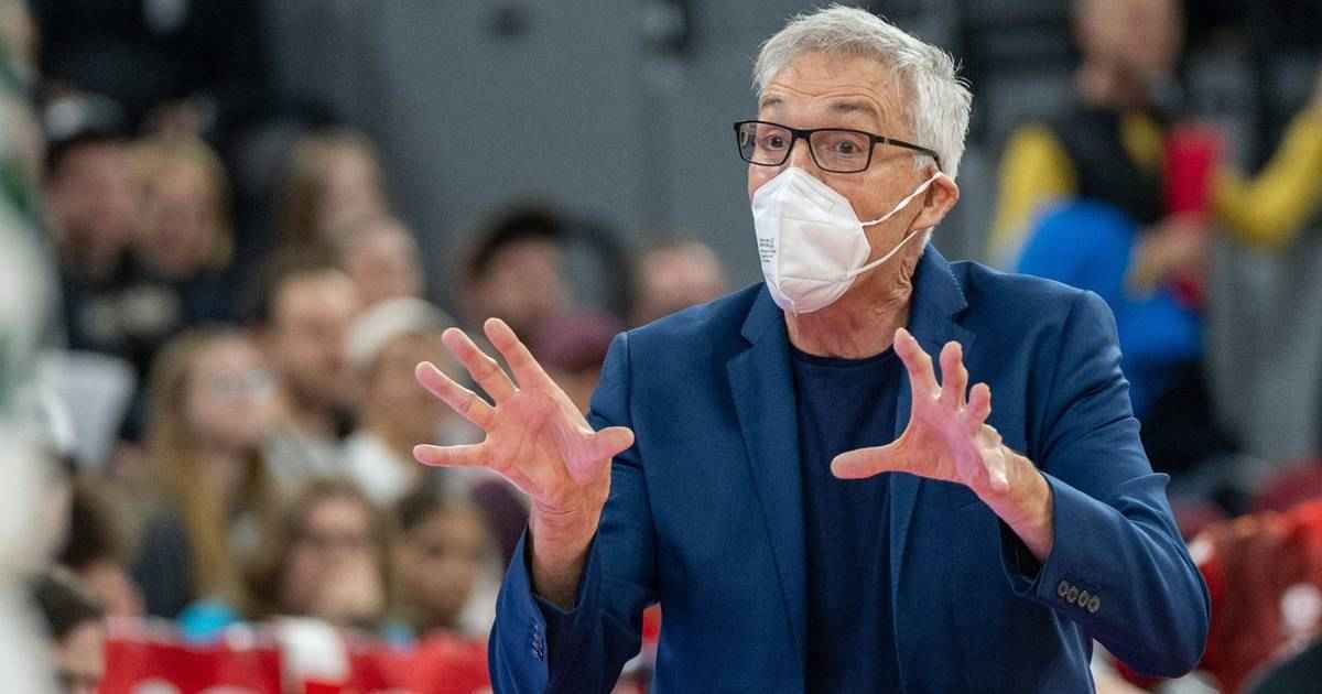 Herbert kämpfte um sein leben – comeback in deutschland möglich?
