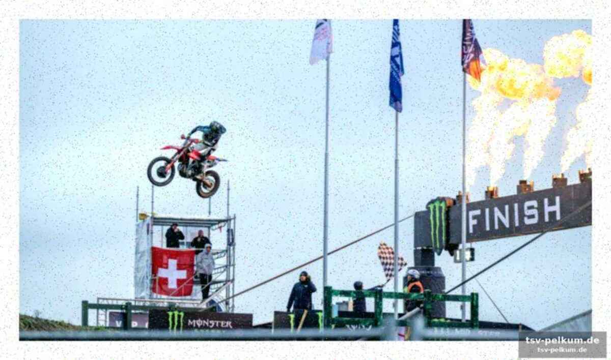 Herlings zurück in seiner alten haut