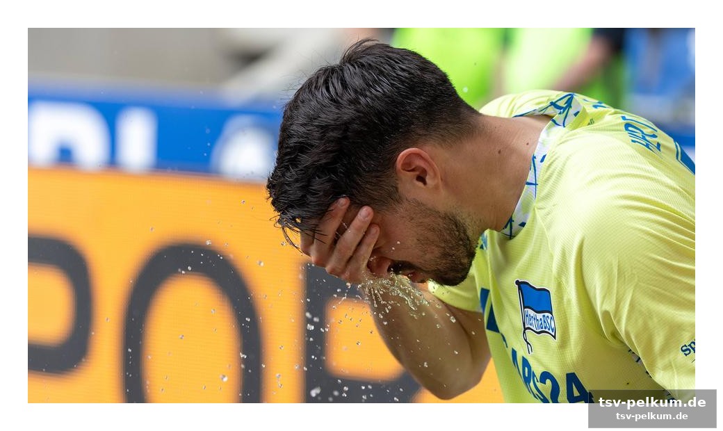 Magdeburg nutzt hertha