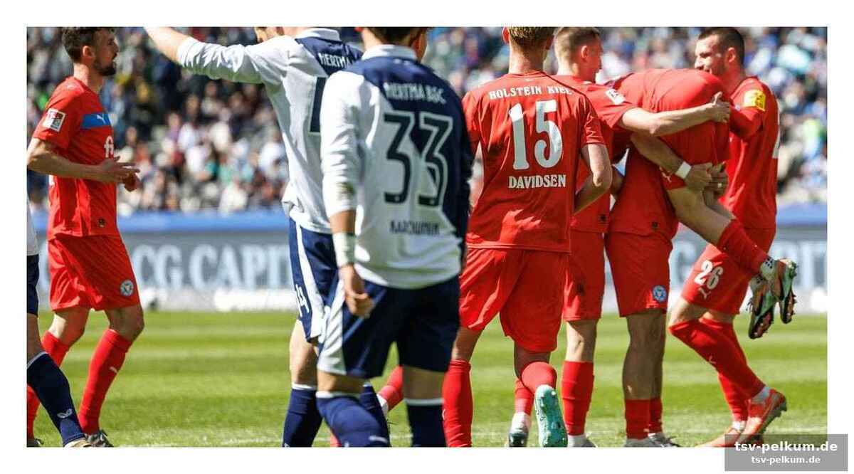 Störche im aufwind – hertha im freien fall