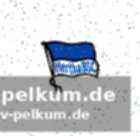 Leistners analyse: konzentration und standards
