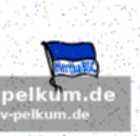 Leitl fordert reaktion im nächsten spiel