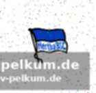 Personalsituation: demme kehrt ins training zurück